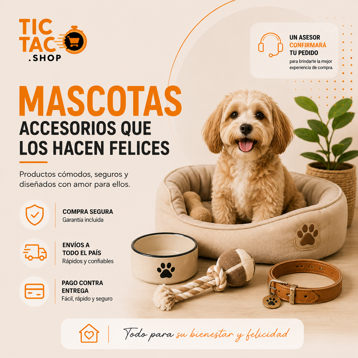 MASCOTAS